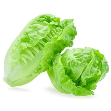 COS Lettuce
