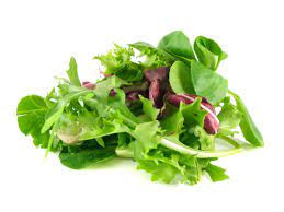 Salad Mix Mesclun 120gr