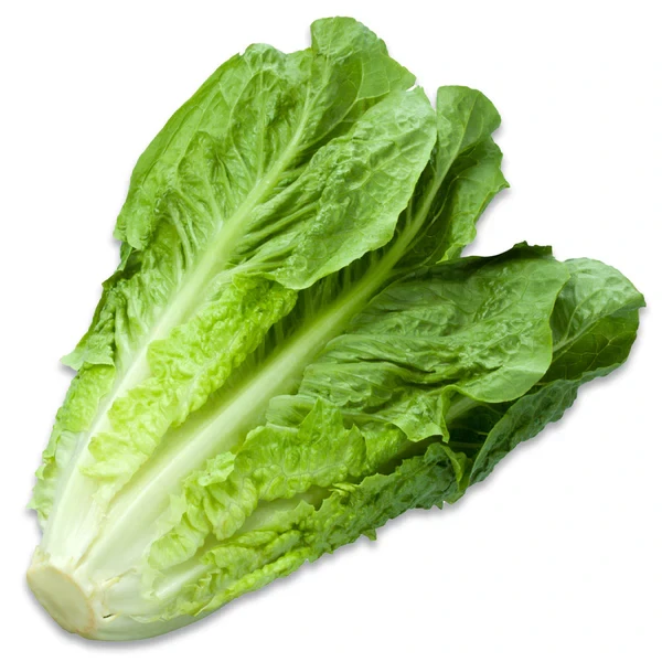 COS Lettuce